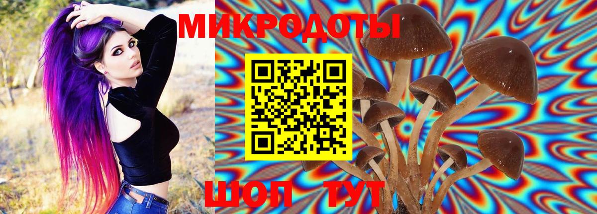 Галлюциногенные грибы мухоморы Похвистнево